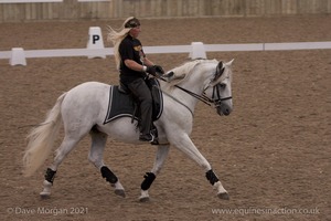 Lusitano Breed Society of Great Britain Show - Hartpury College - 27th June 2009